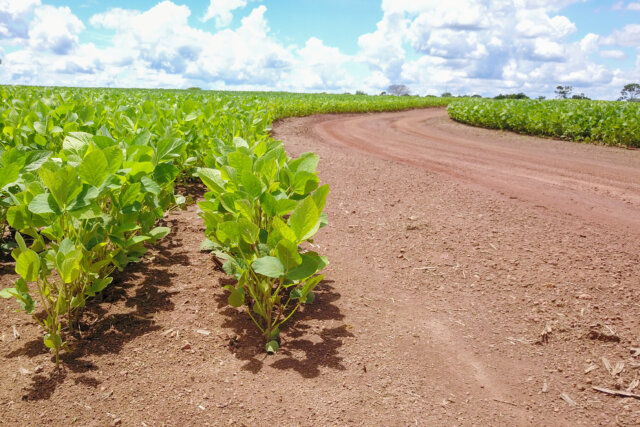 Fazenda a Venda